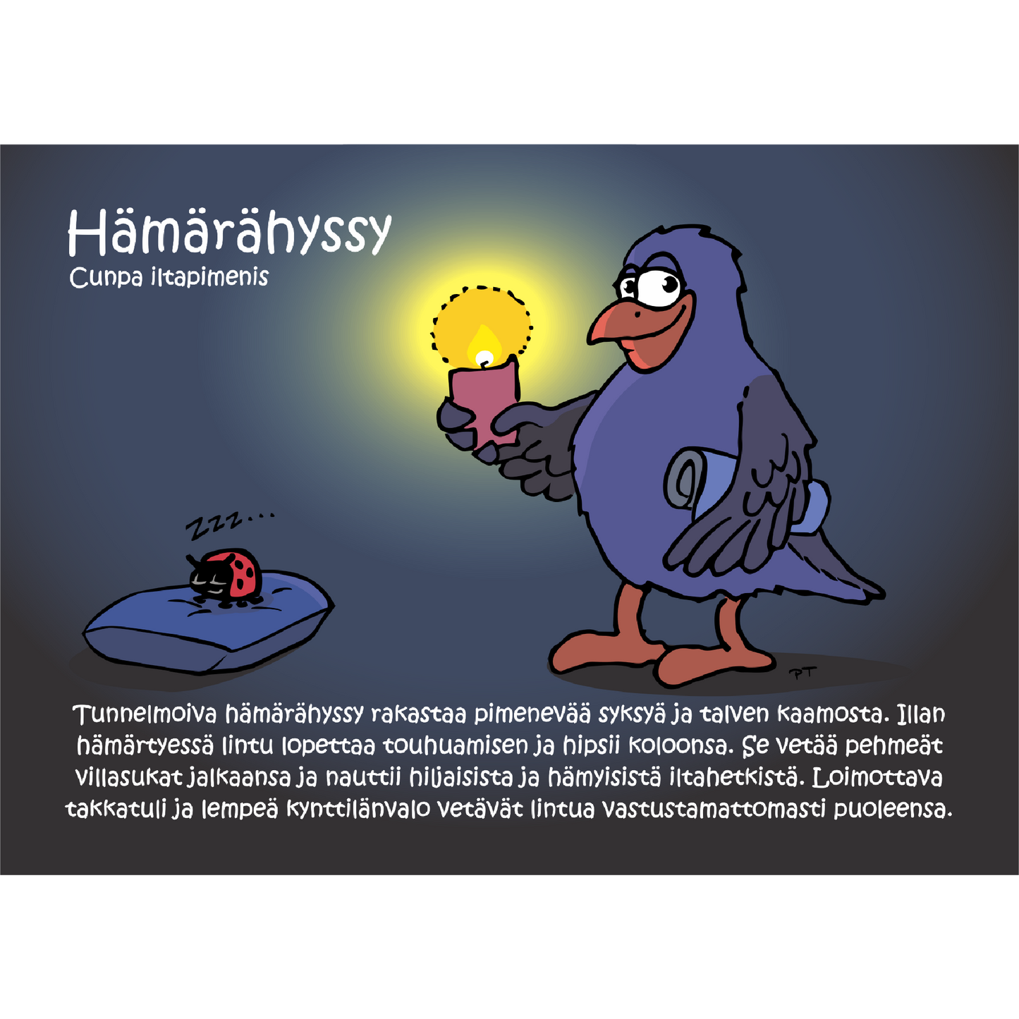Hämärähyssy (Cunpa Iltapimenis) -postikortti