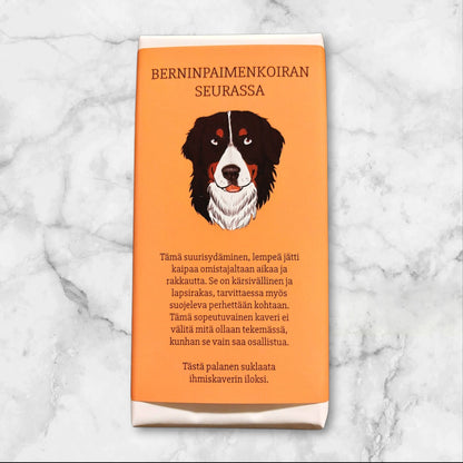 Berninpaimenkoiran seurassa -suklaa 100g