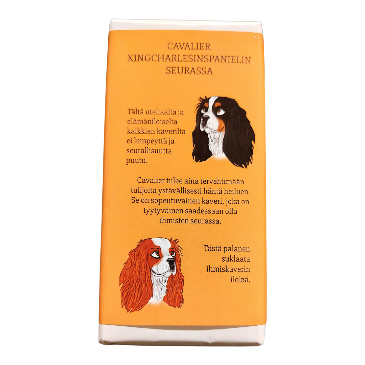 Cavalier Kingcharlesinspanielin seurassa -suklaa 100g