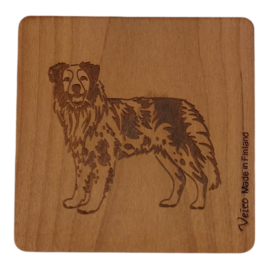 Australianpaimenkoira -alunen