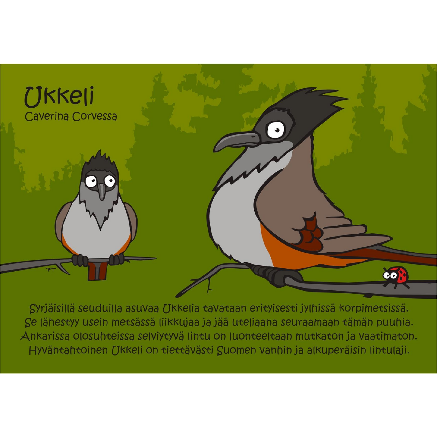 Ukkeli (Caverina Corvessa) -postikortti