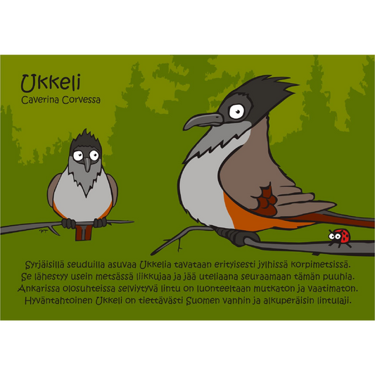 Ukkeli (Caverina Corvessa) -postikortti