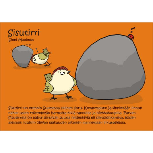Sisutirri (Sinni Maximus) -postikortti