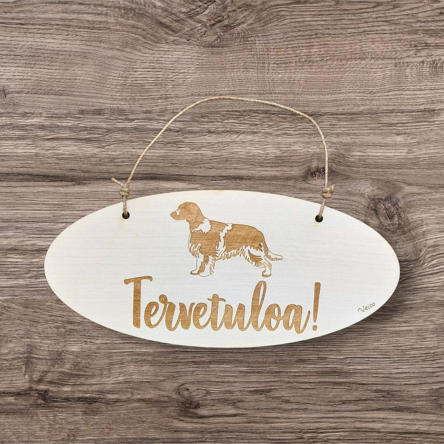 Walesinspringerspanieli -oviopaste