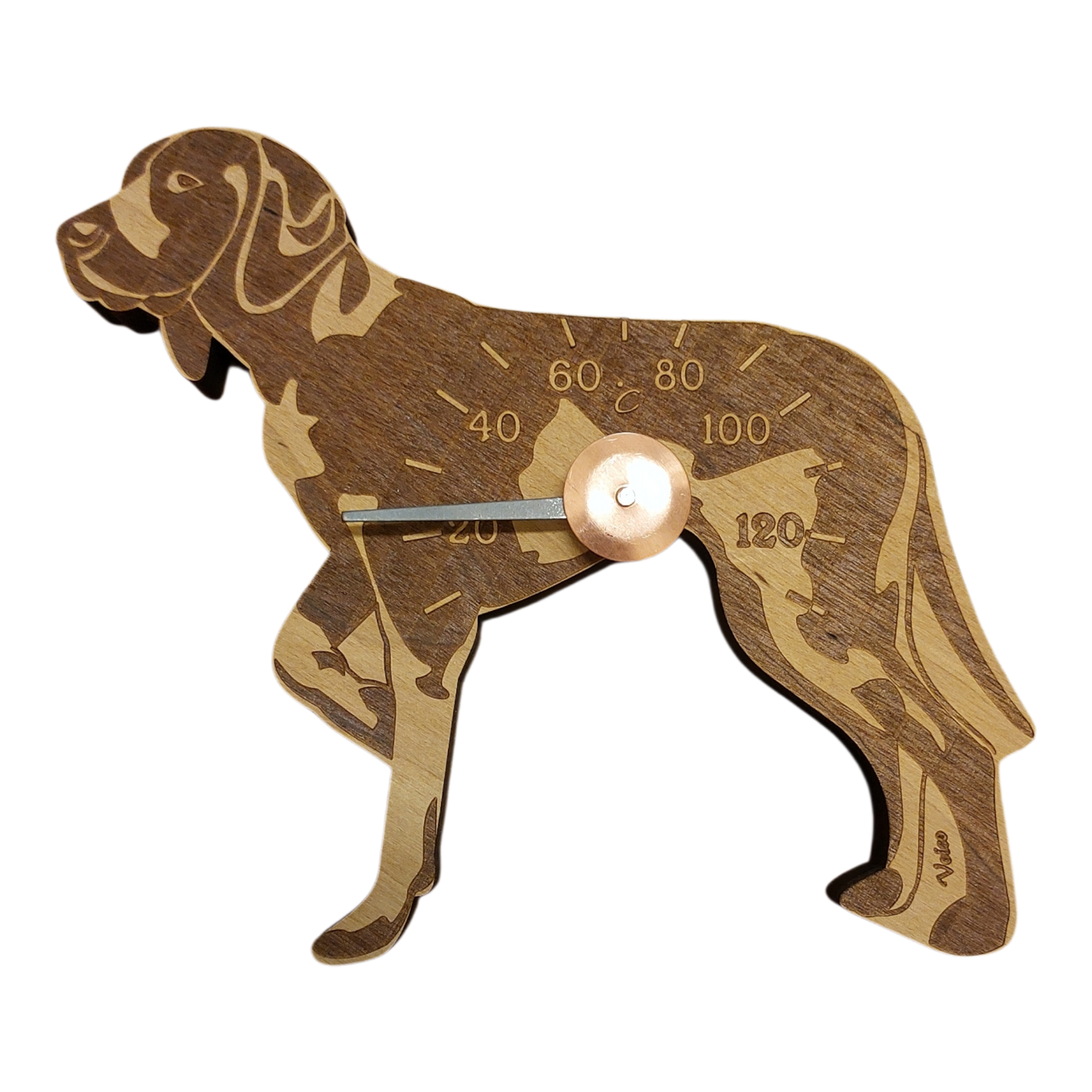 Saksanseisoja lyhytkarvainen -saunamittari