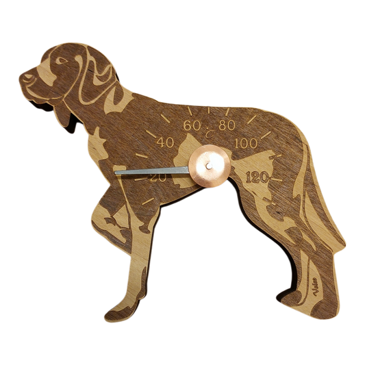 Saksanseisoja lyhytkarvainen -saunamittari