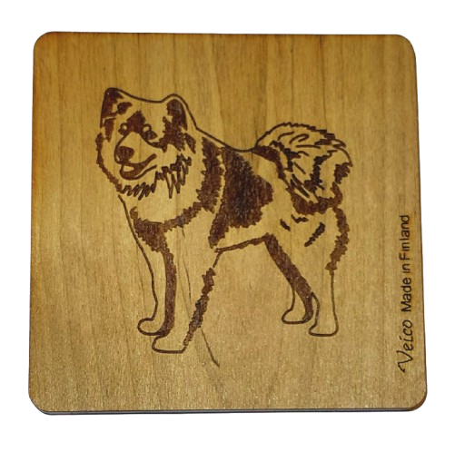 Eurasier -alunen