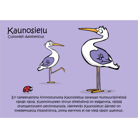 Kaunosielu (Culturellii Aestheticus) -postikortti