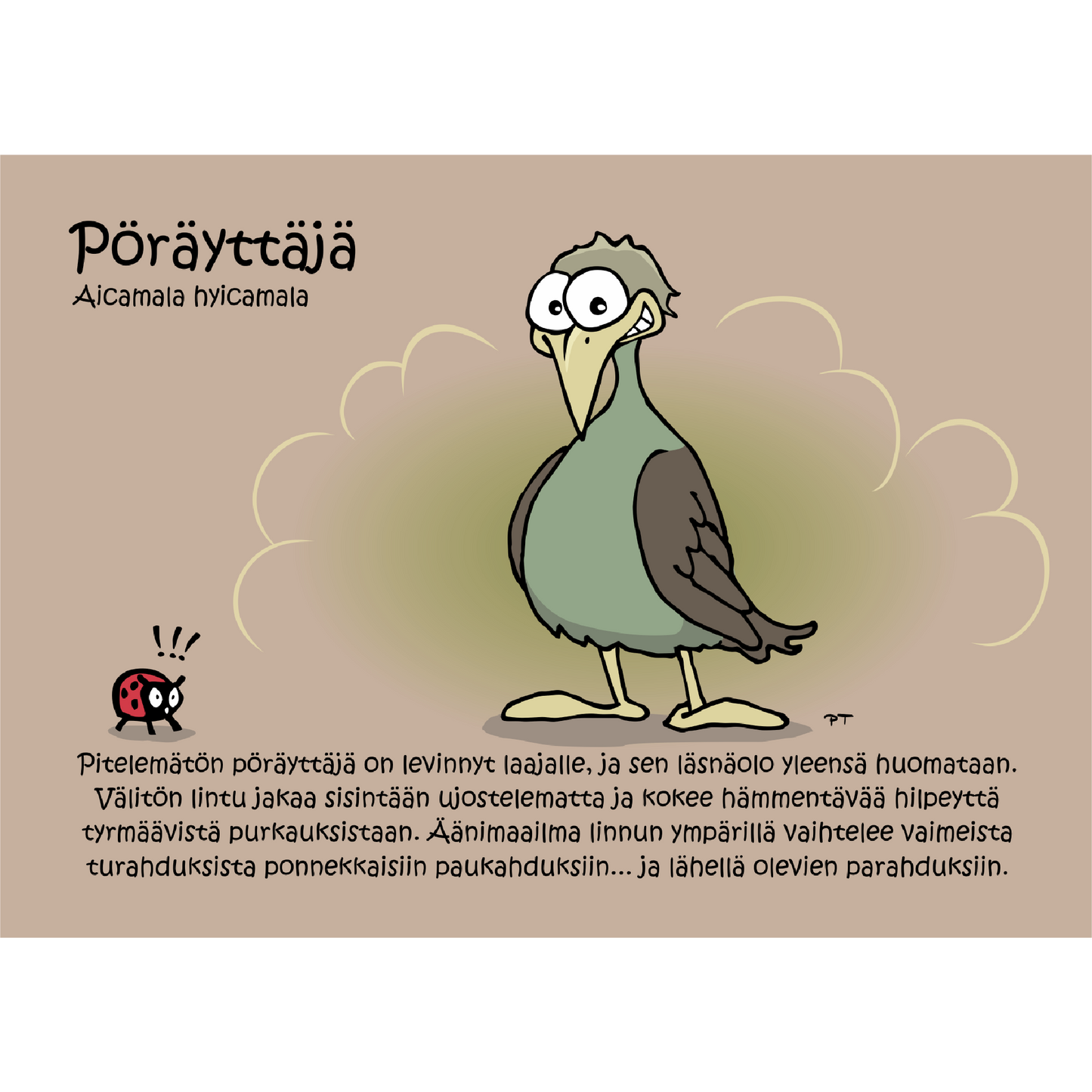 Pöräyttäjä (Aicamala hyicamala) -postikortti