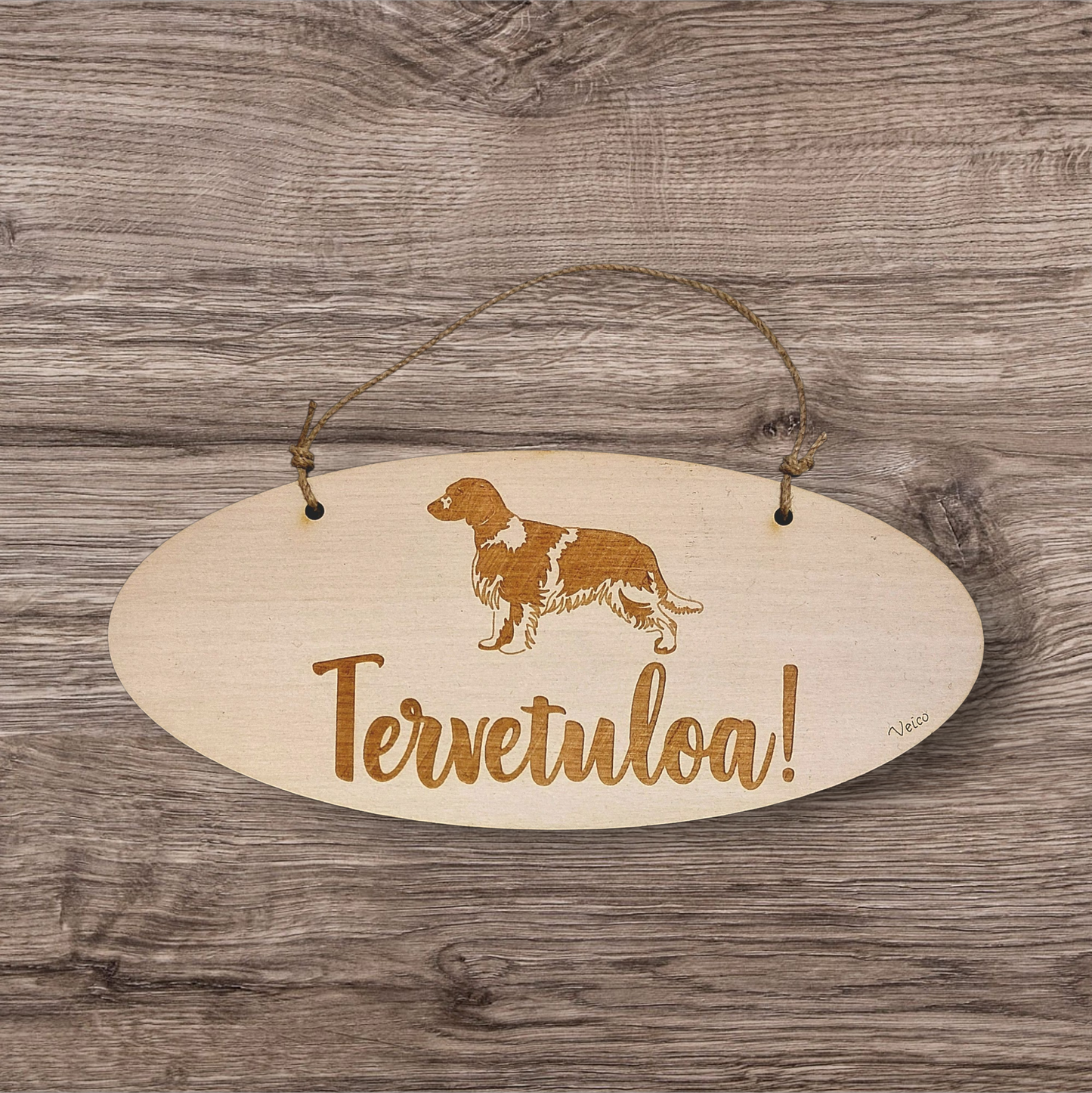 Englanninspringerspanieli -oviopaste