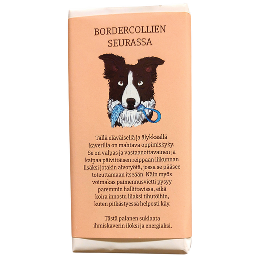 Bordercollien seurassa -suklaa 100g