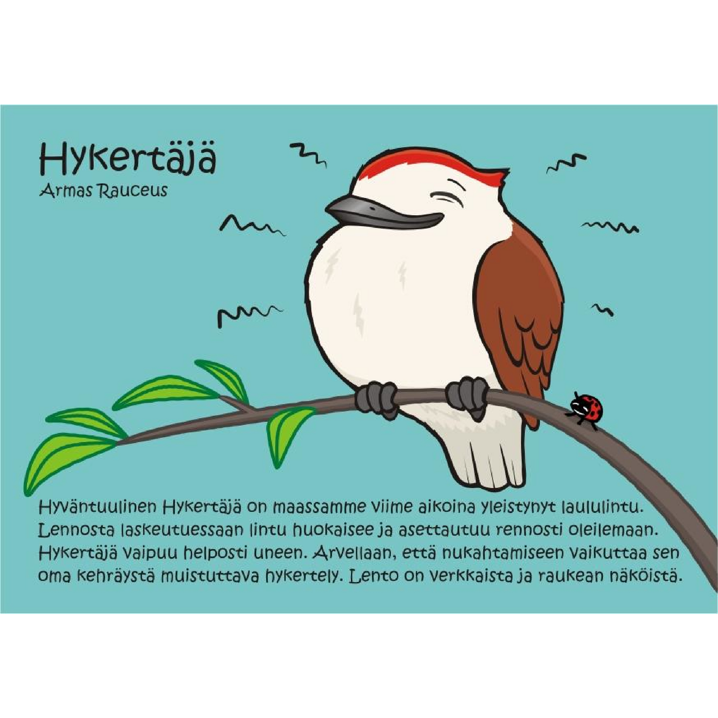 Hykertäjä (Armas Rauceus) -postikortti