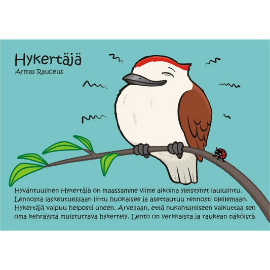 Hykertäjä (Armas Rauceus) -postikortti