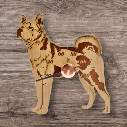 Akita -saunamittari