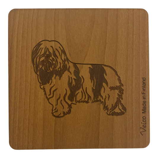 Puolan alankopaimenkoira -alunen