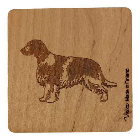 Walesinspringerspanieli -alunen