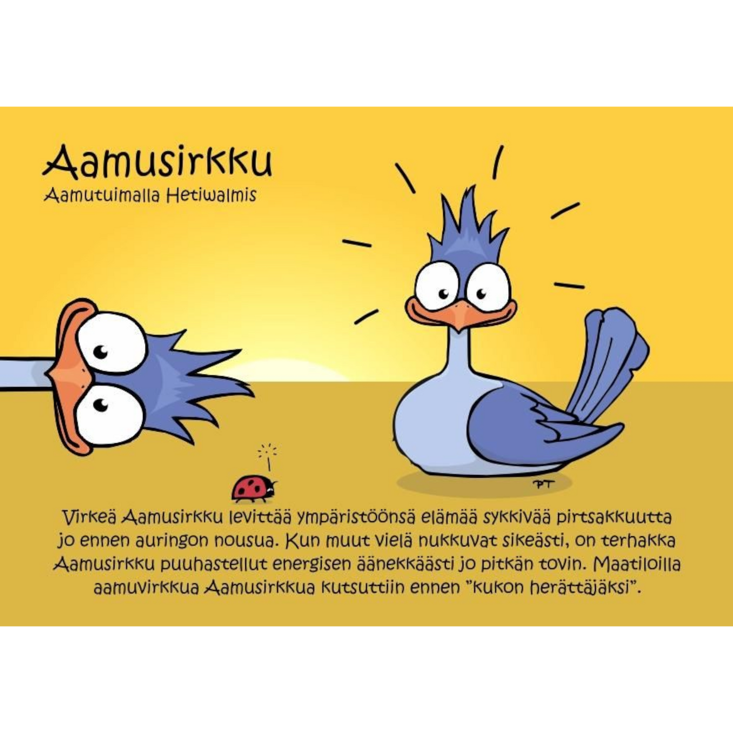 Aamusirkku (Aamutuimalla Hetiwalmis) -postikortti