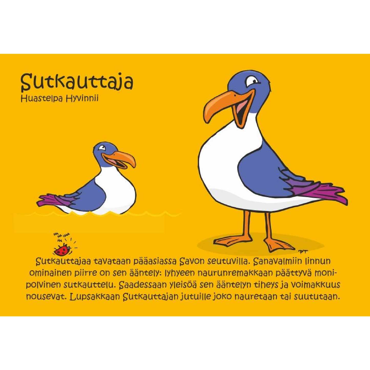 Sutkauttaja (Huasteipa Hyvinnii) -postikortti
