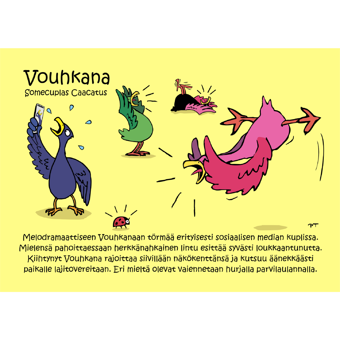 Vouhkana (Somecuplas Caacatus) -postikortti