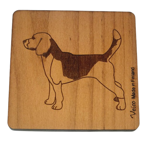 Beagle -alunen
