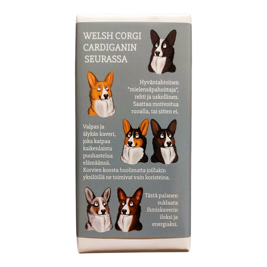 Welsh corgi cardiganin seurassa -suklaa 100g