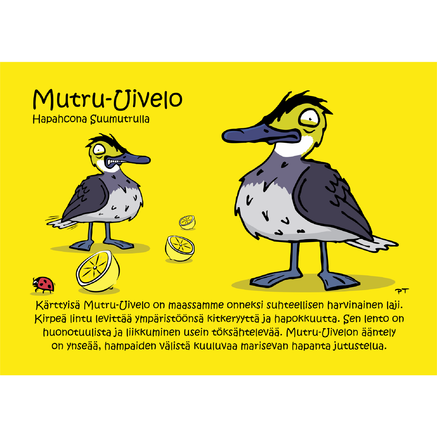 Mutru-Uivelo (Hapahcona Suumutrulla) -postikortti