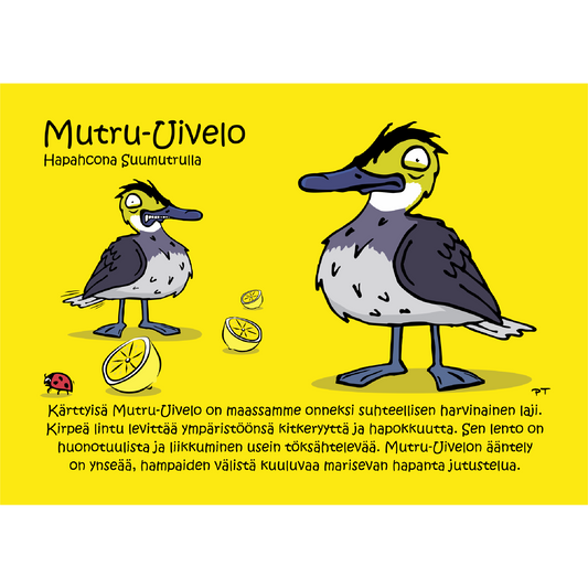 Mutru-Uivelo (Hapahcona Suumutrulla) -postikortti