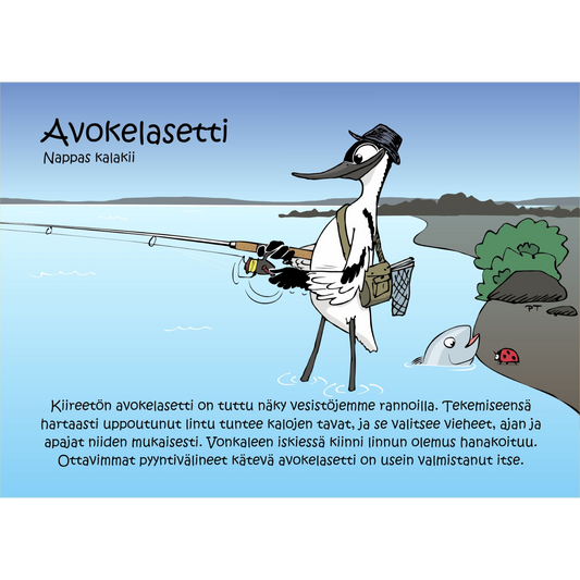 Avokelasetti (Nappas Kalakii) -postikortti