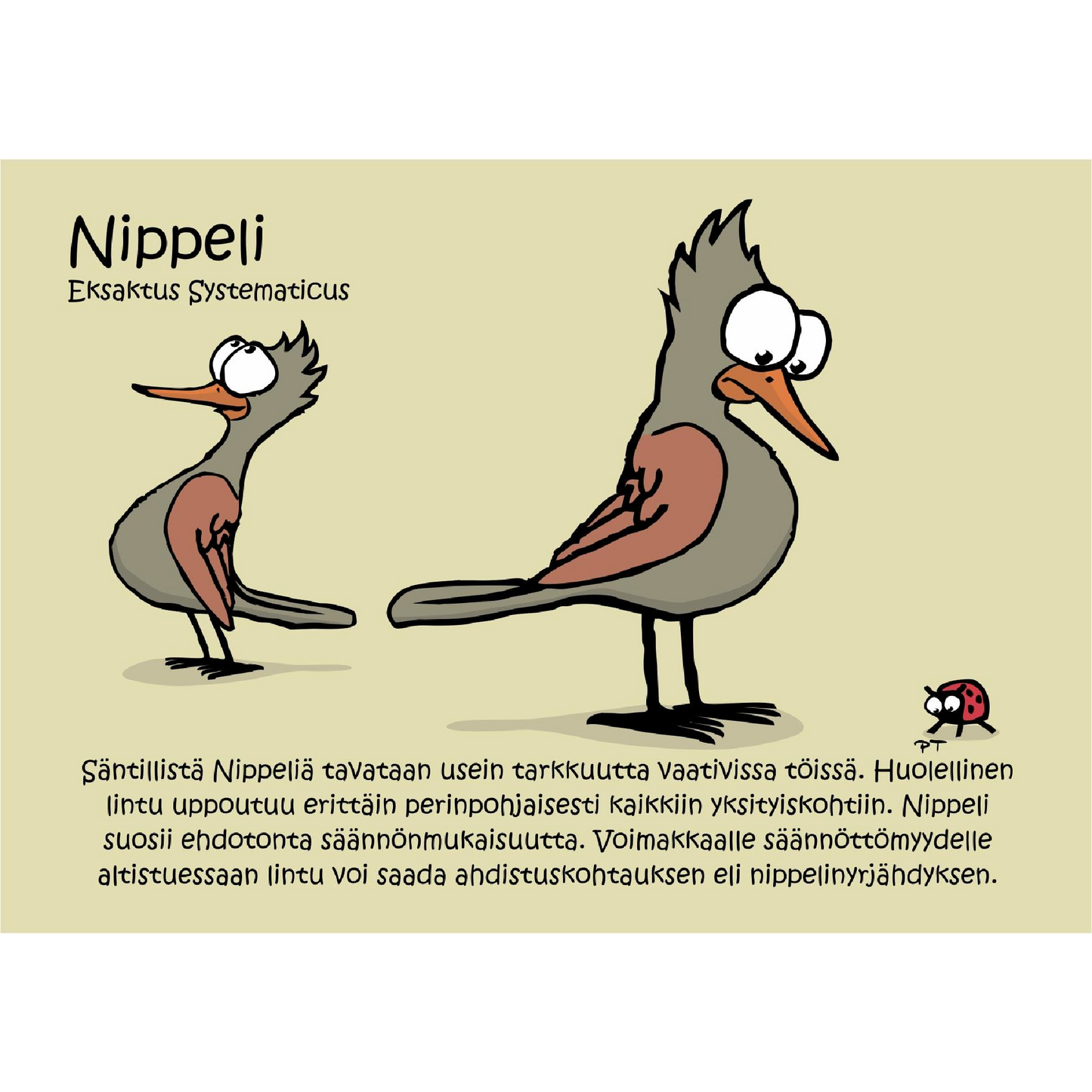 Nippeli (Eksaktus Systematicus) -postikortti