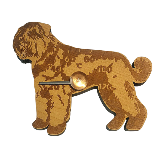 Bouvier -saunamittari