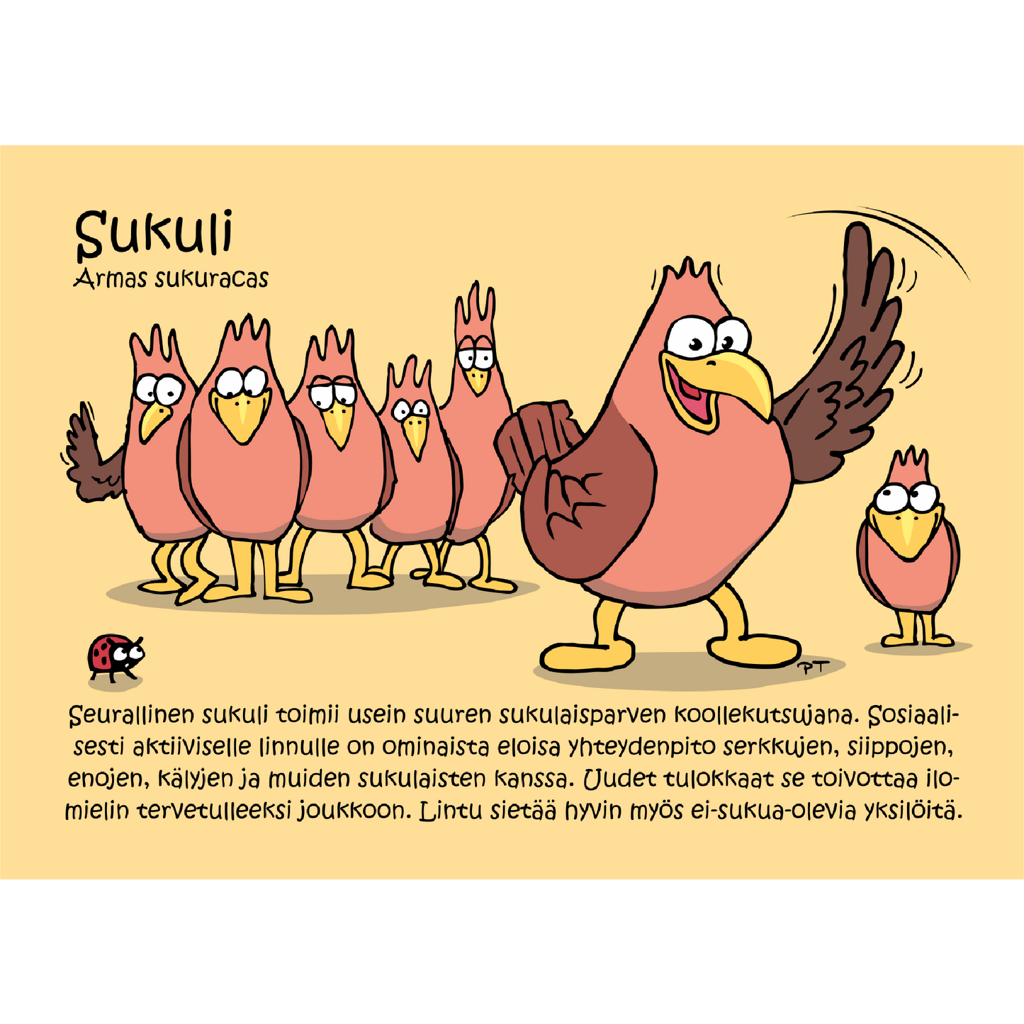 Sukuli (Armas sukuracas) -postikortti