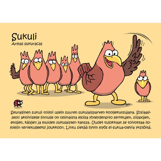Sukuli (Armas sukuracas) -postikortti
