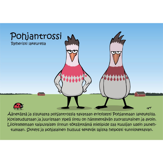 Pohjantrossi (Reheristi lakeurella) -postikortti