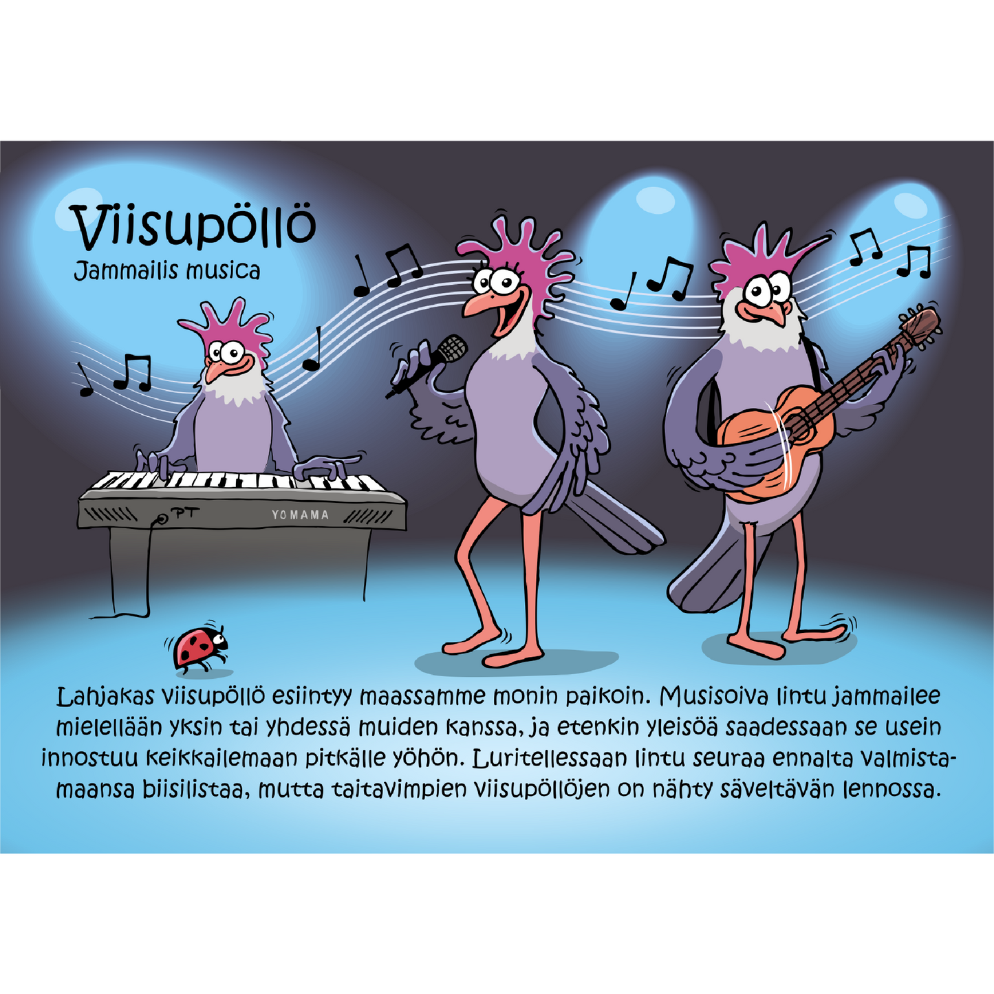 Viisupöllö (Jammailis musica) -postikortti