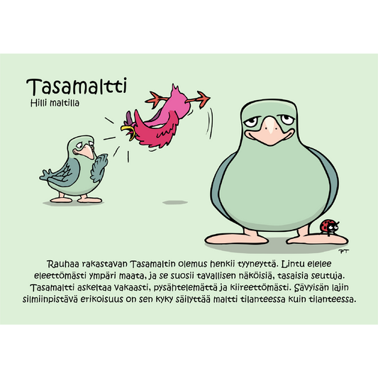 Tasamaltti (Hilli maltilla) -postikortti