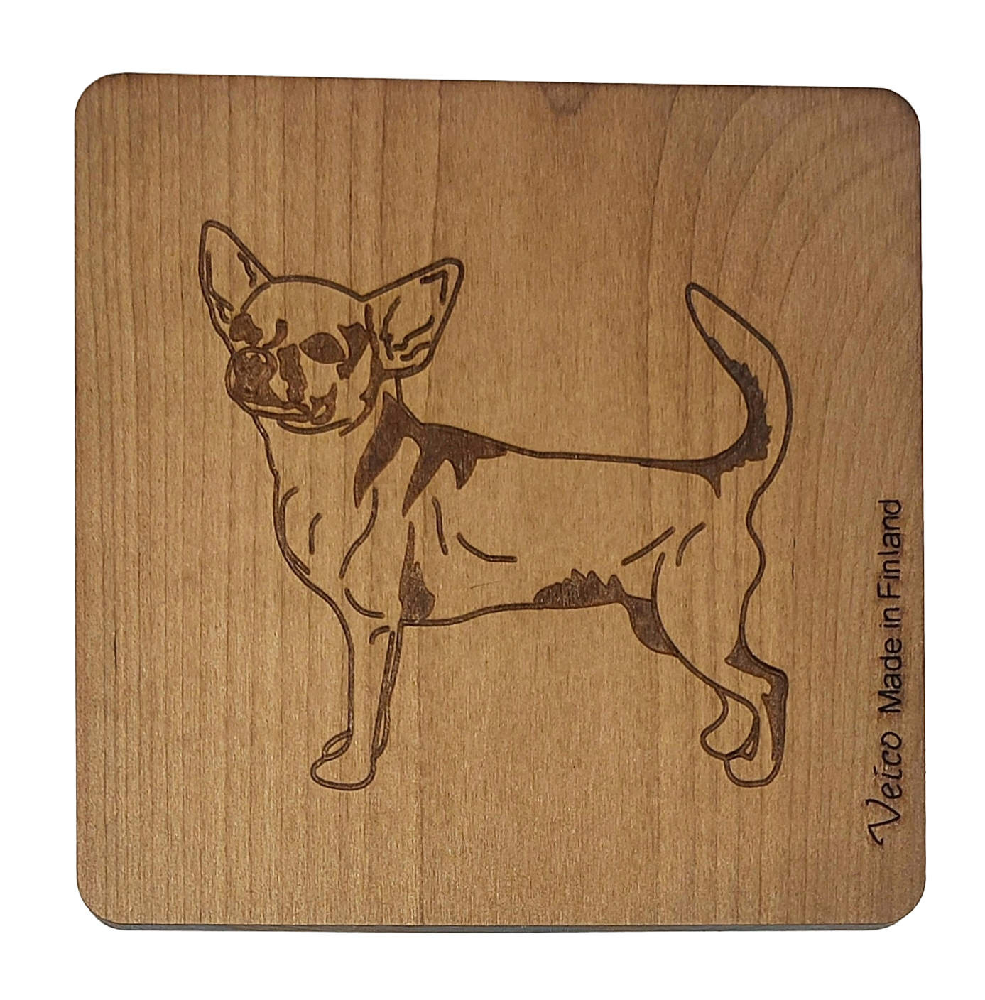 Chihuahua lyhytkarvainen -alunen