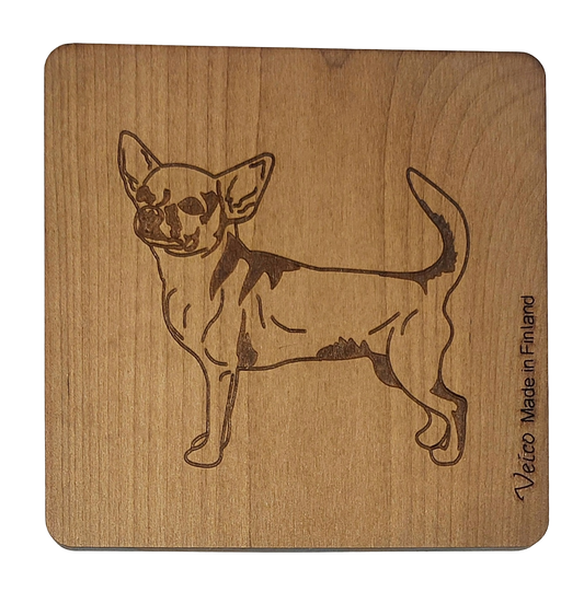 Chihuahua lyhytkarvainen -alunen