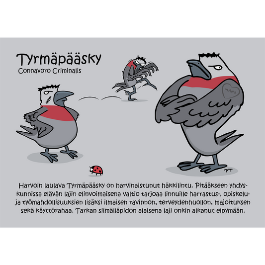 Tyrmäpääsky (Connavoro Criminalis) -postikortti