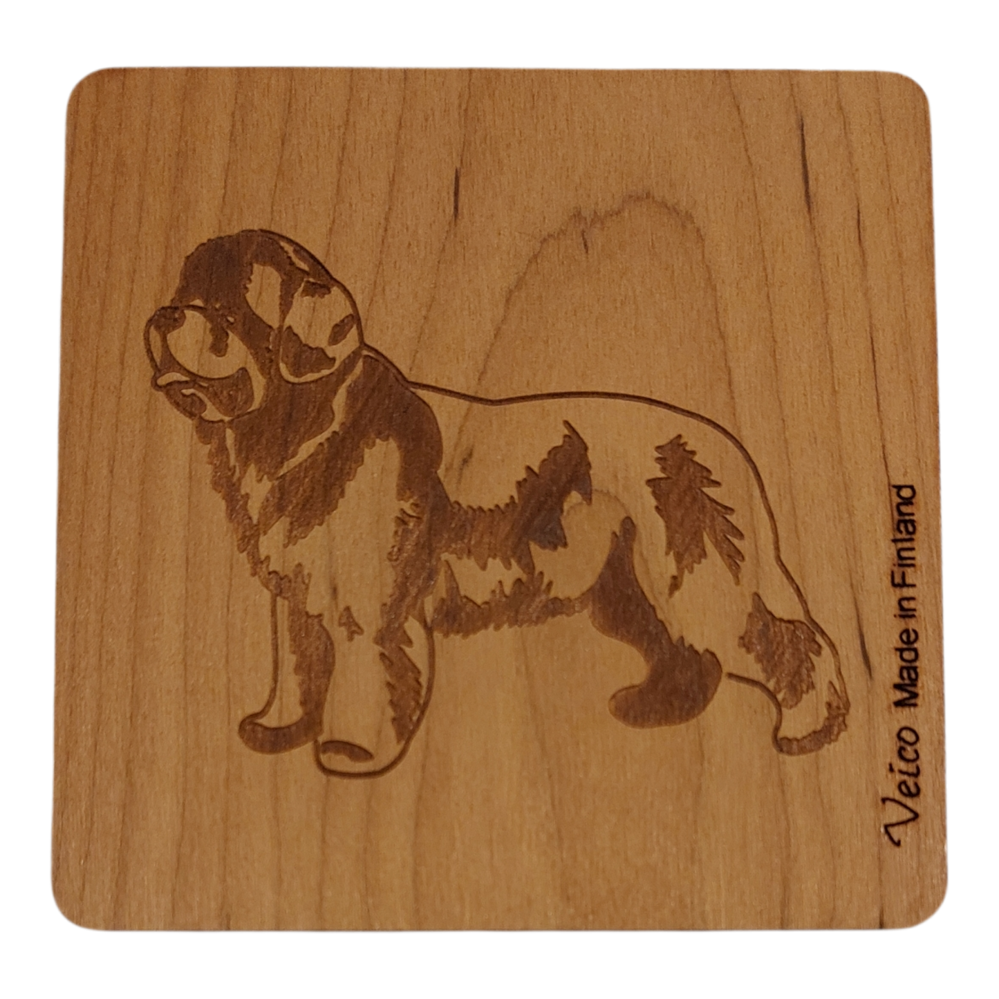 Newfoundlandinkoira -alunen