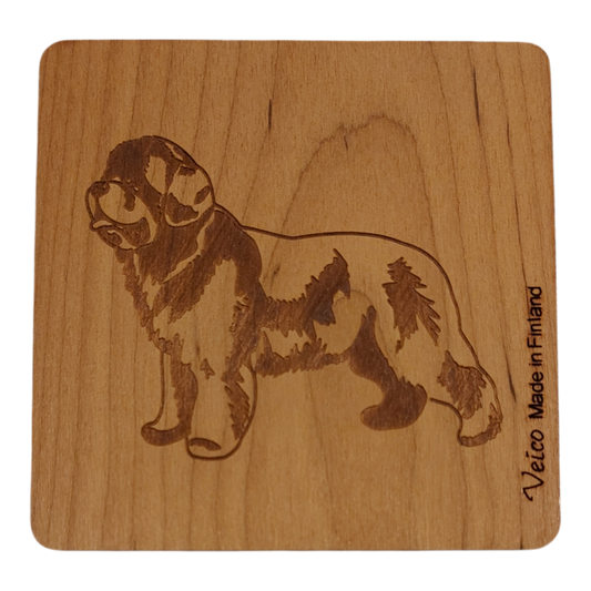 Newfoundlandinkoira -alunen