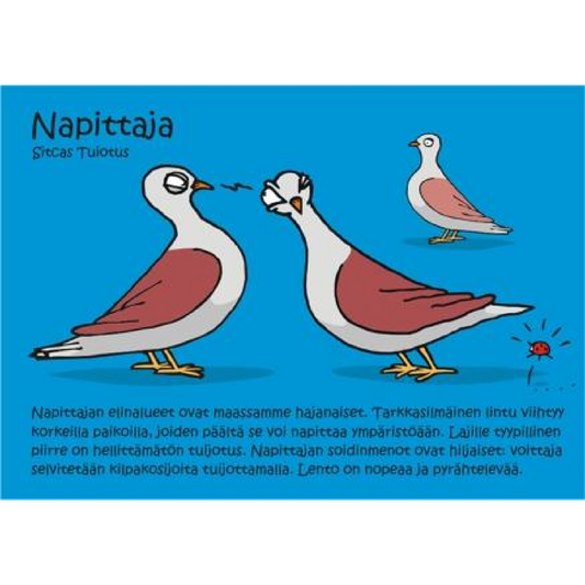 Napittaja (Sitcas Tuiotus) -postikortti