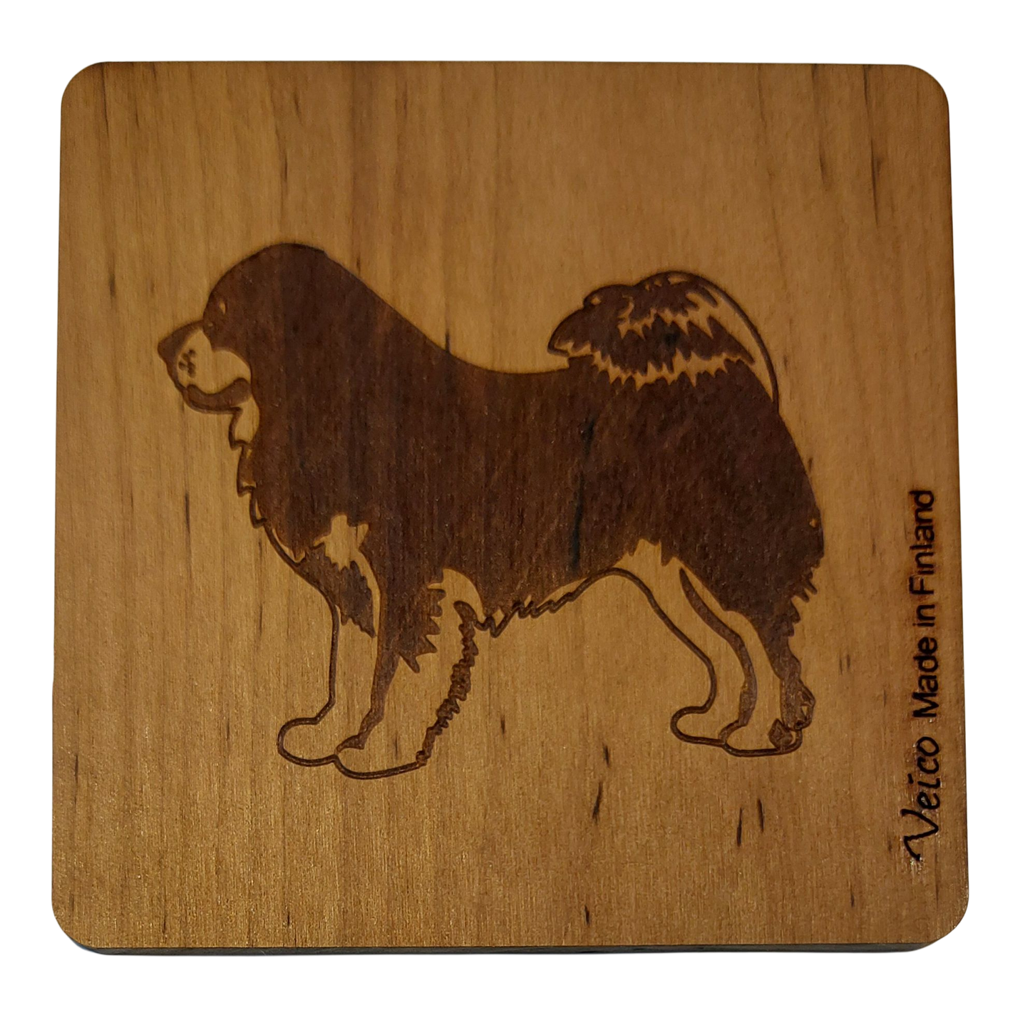 Tiibetinmastiffi -alunen