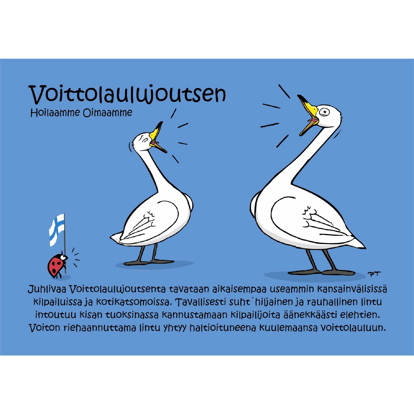 Voittolaulujoutsen (Hoilaamme Oimaamme) -postikortti