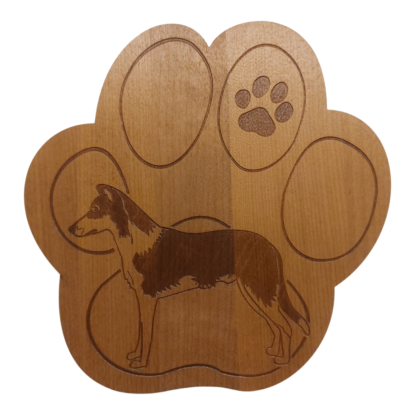 Collie sileäkarvainen -pannunalunen