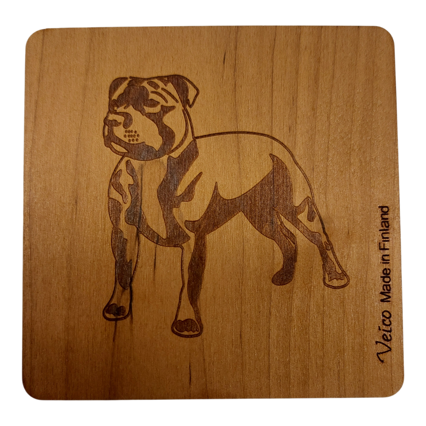 Staffordshirenbullterrieri -alunen