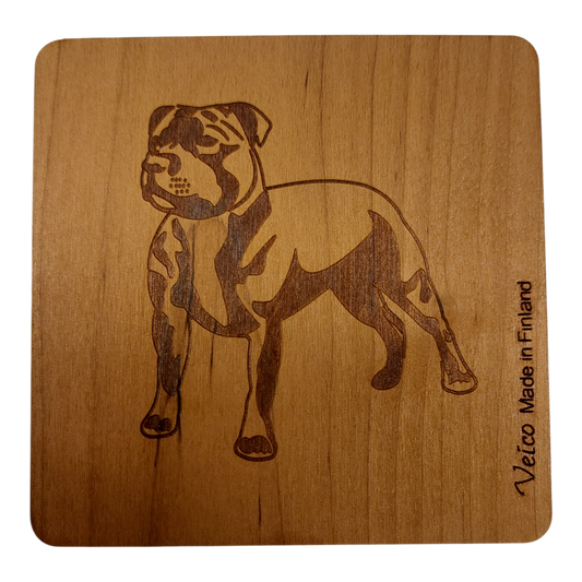 Staffordshirenbullterrieri -alunen