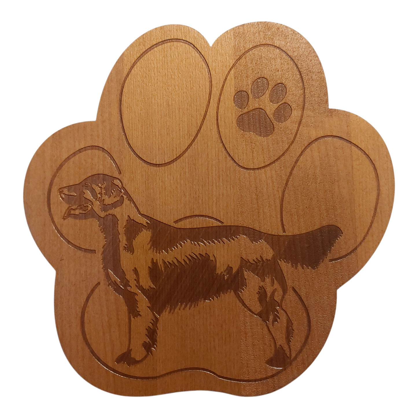 Sileäkarvainen noutaja -pannunalunen