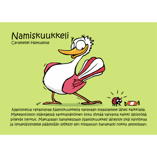 Namiskuukkeli (Caramellei Hamuamas) -postikortti