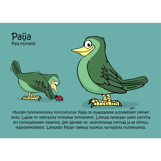 Paija (Paia hoivailis) -postikortti